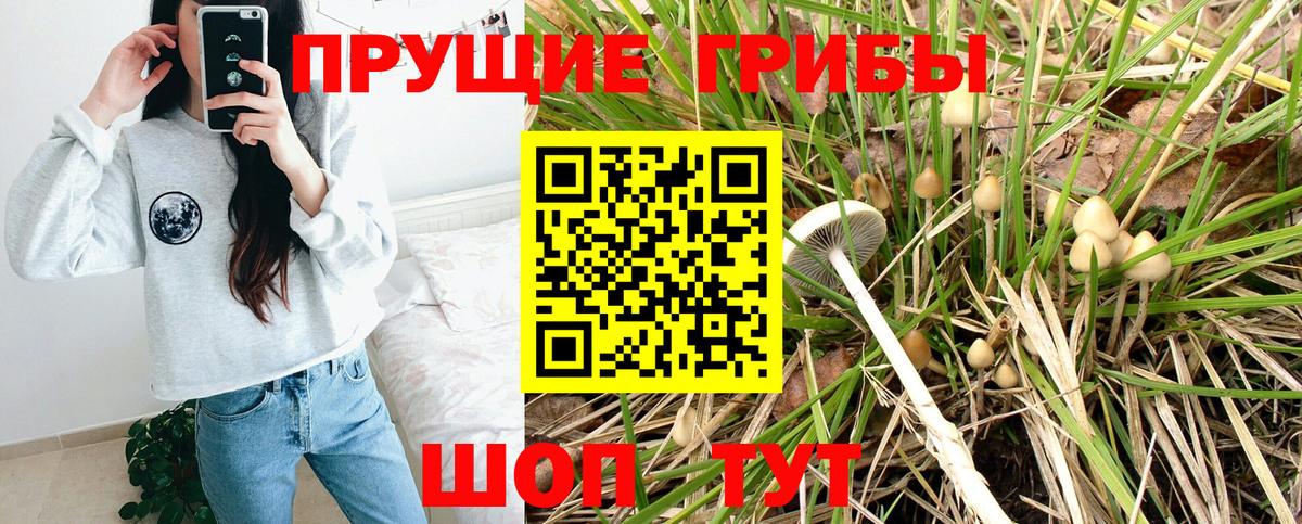 Псилоцибиновые грибы прущие грибы  Псилоцибиновые грибы Magic Shrooms  Вход с VPN  Кашира 